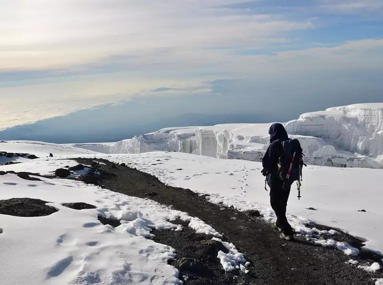 Kilimanjaro individuell - Lemosho Route 