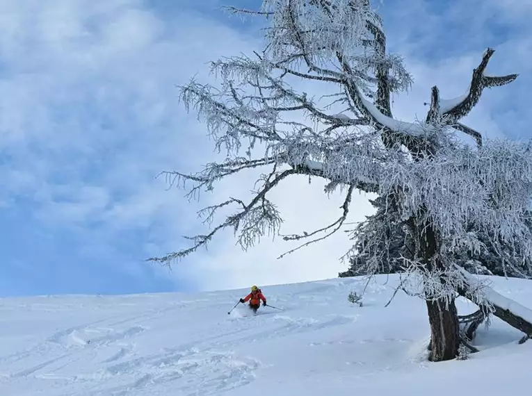 Herrliche Skitourenwoche im Lesachtal