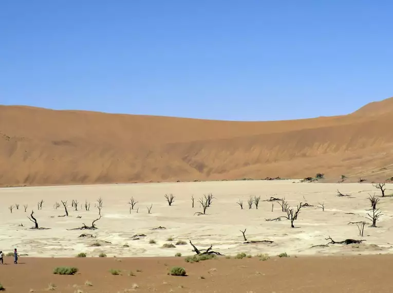 Namibias Naturwunder: Farbenpracht und grenzenlose Weite