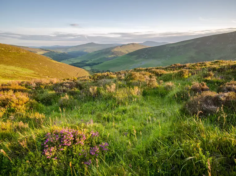 Irland - die Wicklows gemütlich erwandern