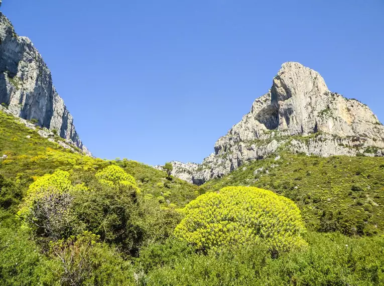 Sardiniens Zauber: Auf den Spuren der Hirtenpfade