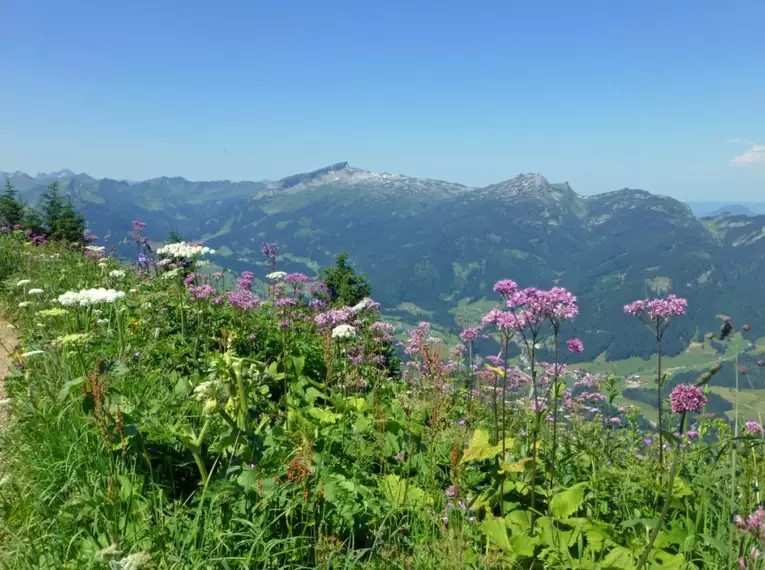 Bergwanderwoche rund um Oberstdorf im Allgäu