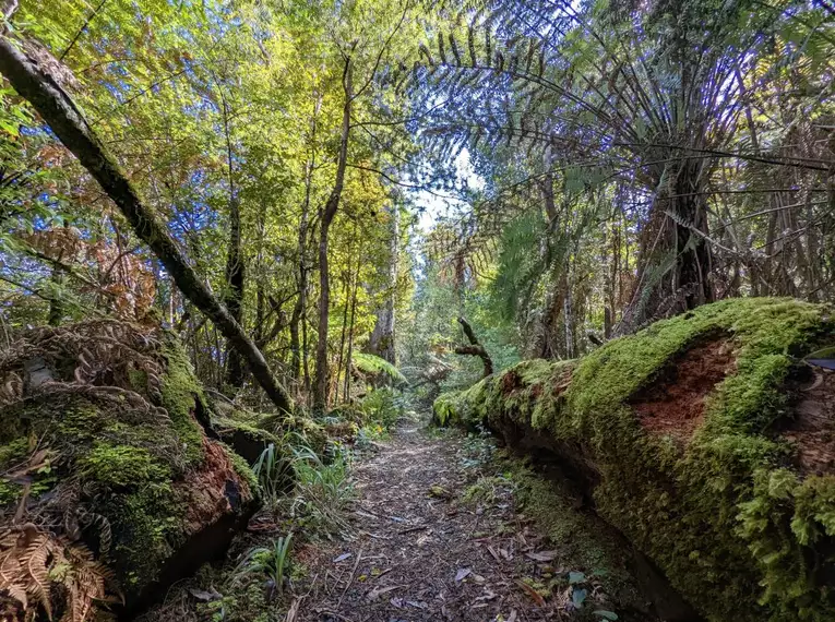 Neuseeland - Trekking im Land der langen weißen Wolke