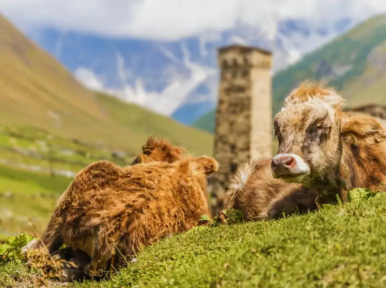 Georgien – Eintauchen in die Naturschönheiten des Großen Kaukasus