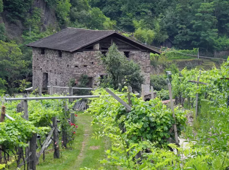 Auf dem E5 von Bozen nach Trient - mit Gepäcktransport