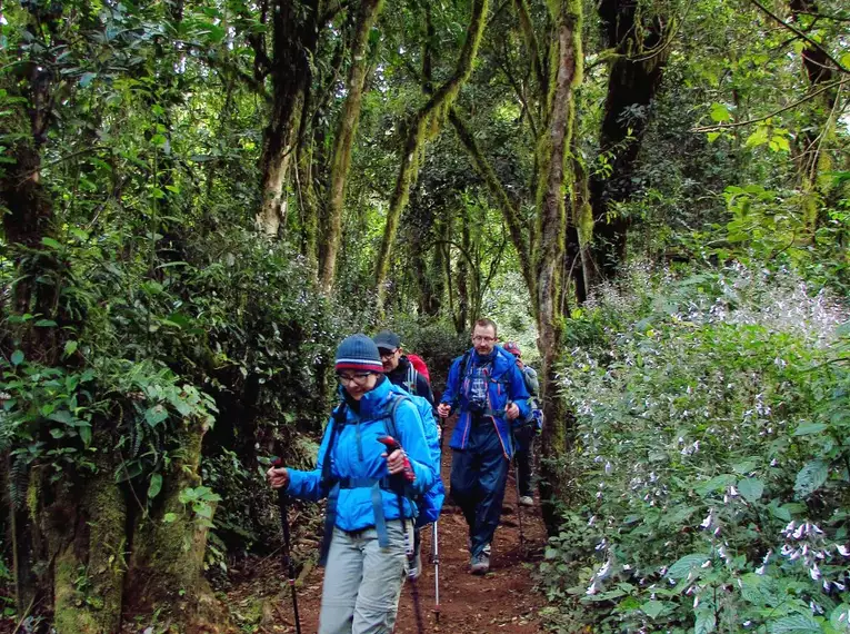 Kilimanjaro: Marangu-Route