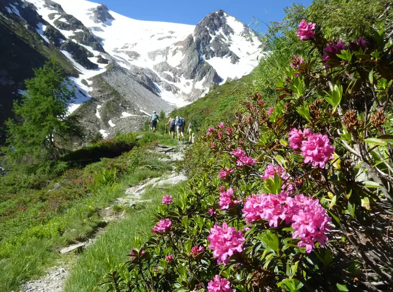 Tour du Mont Blanc