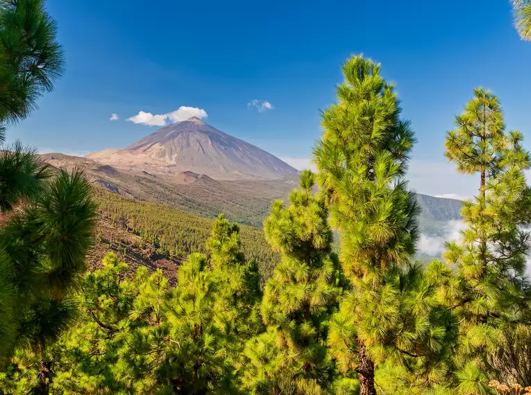 Teneriffa gemütlich erwandern