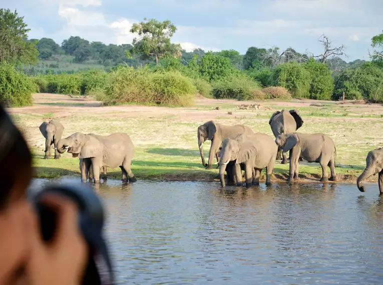 Botswana - Das grüne Herz der Kalahari mit Egmont Strigl