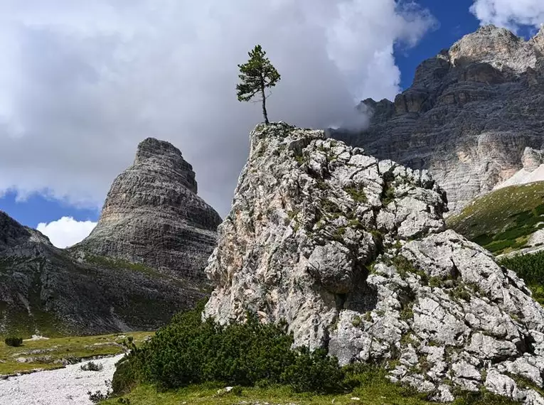 Wild Trails - Vorbereitungskurs