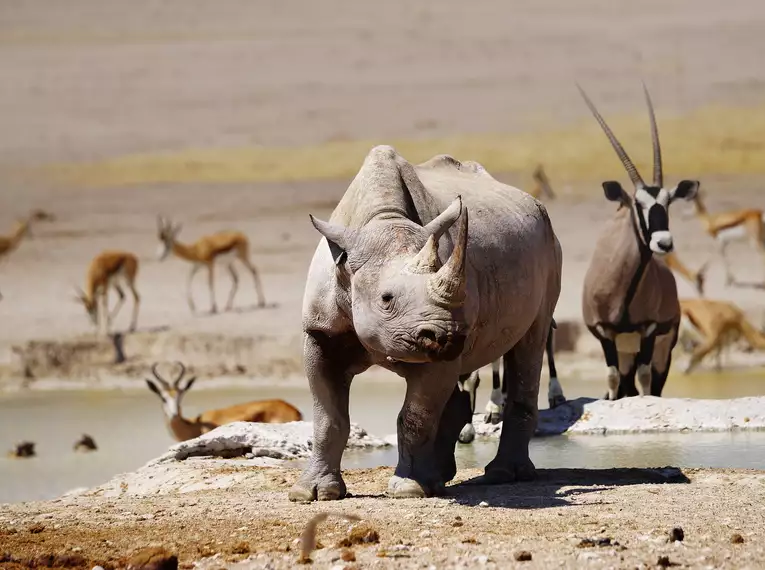 Namibia komfortabel erwandern