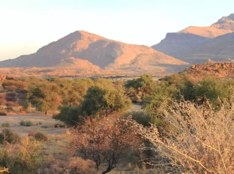 Namibia & Botswana - Tiervielfalt zwischen Wüstenbergen und Flussoasen