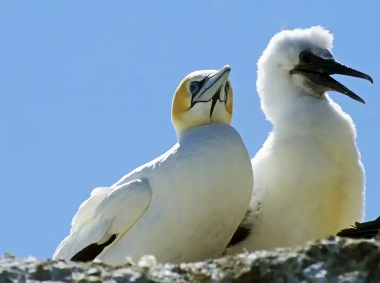 Wanderwoche Neuseeland - Zwischen Vulkanen und Regenwäldern