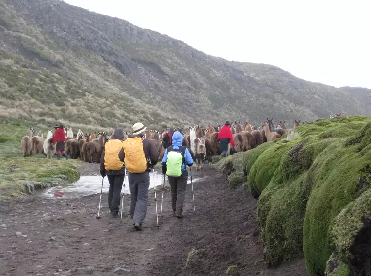 Ecuador auf verborgenen Wegen entdecken