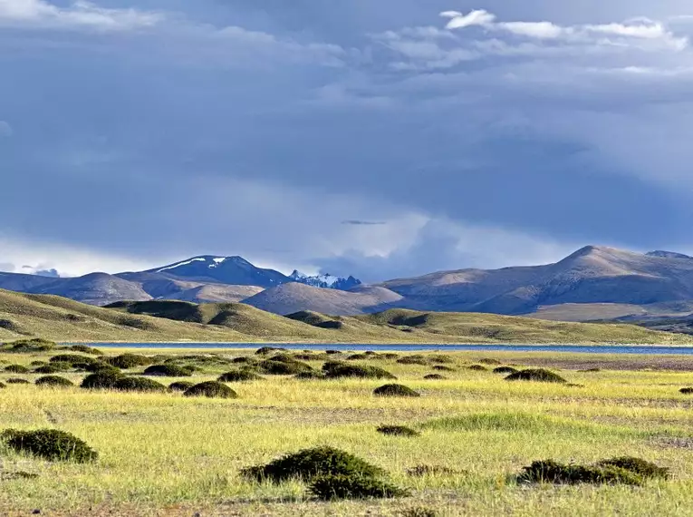 Grasbewachsene Steppe mit Bergen im Hintergrund in Tibet