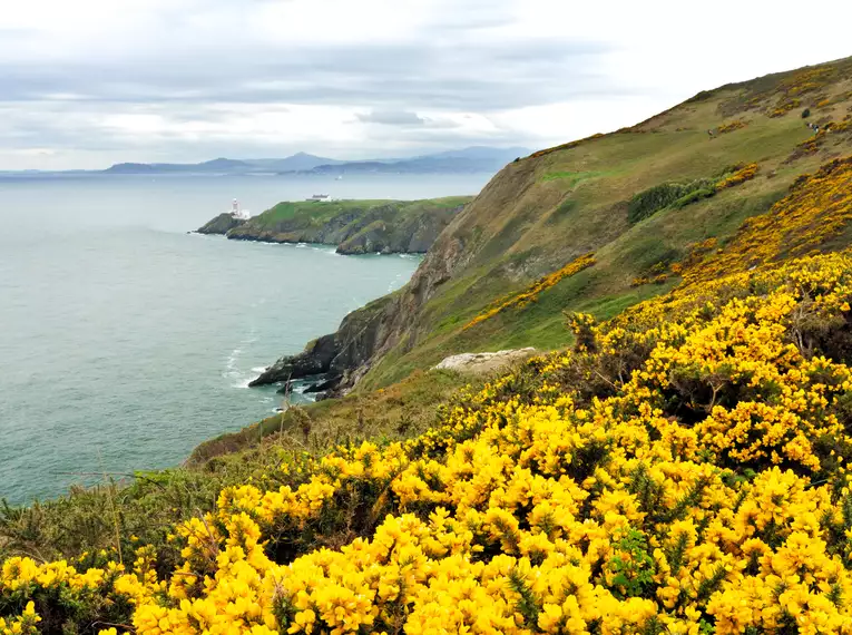 Irland - die Wicklows gemütlich erwandern