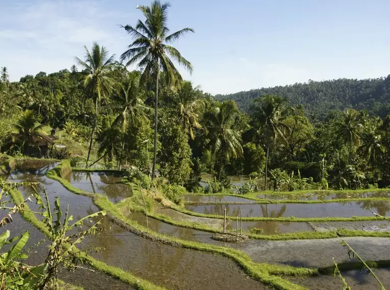 Indonesiens Naturschauspiel: Von Vulkanen auf Java bis zur Magie Balis