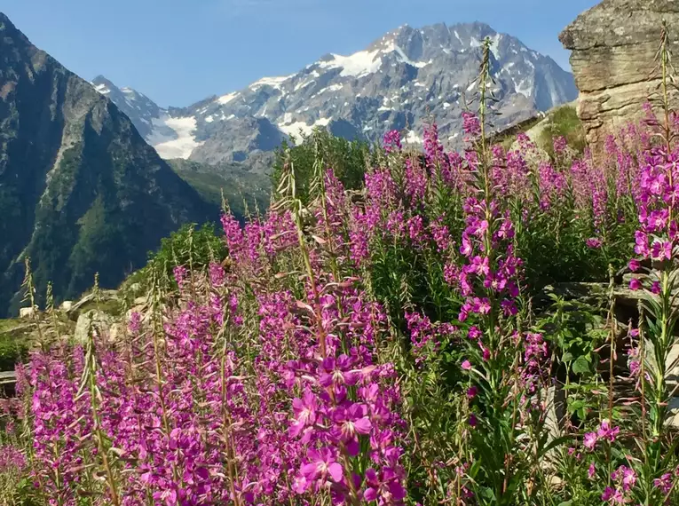 Entlang der Alta Via della Valmalenco