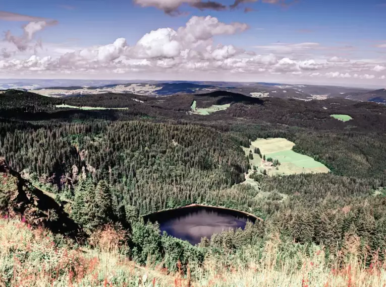 Die schönsten Wanderungen im Schwarzwald