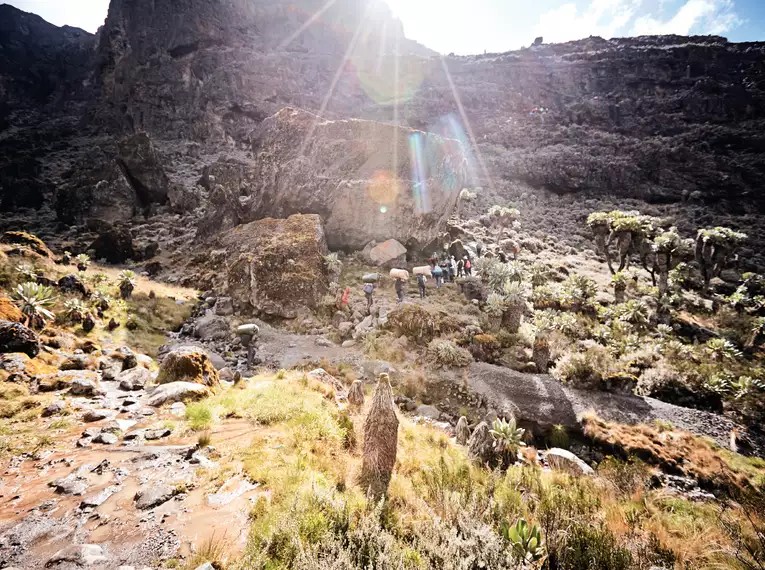 Kilimanjaro individuell - Lemosho Route mit Crater Camp