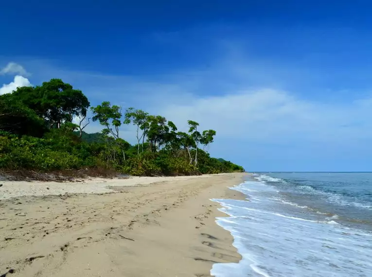 Weißsandiger Strand mit Karibikblick und grünen Palmen in Kolumbien.