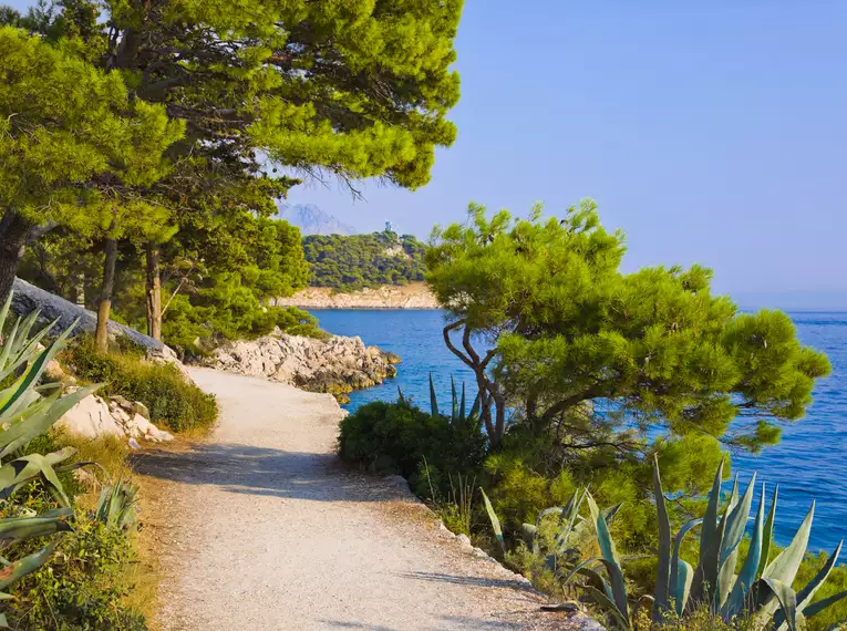 Ein malerischer Küstenweg an der Adria mit Pinien und azurblauem Meer.