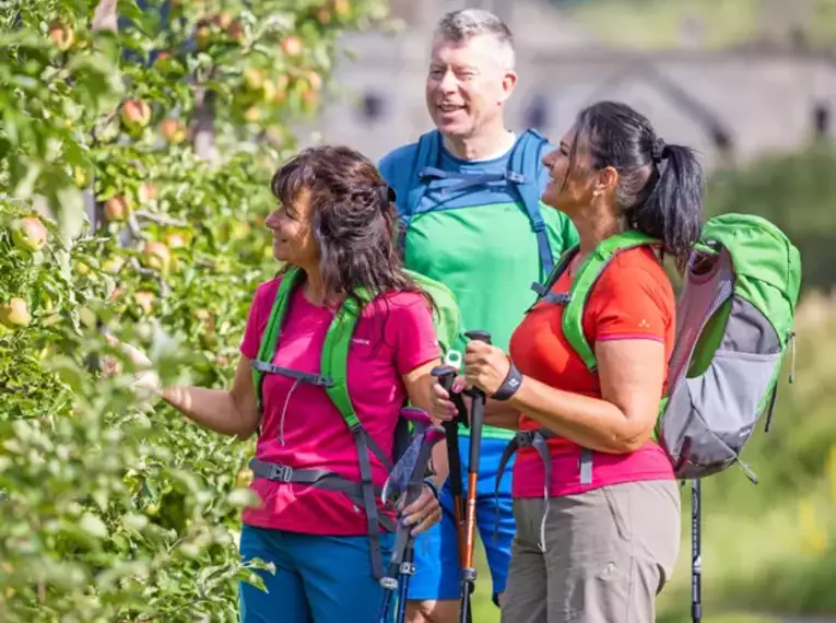 Drei Wanderer pflücken Äpfel während einer Alpenwanderung.