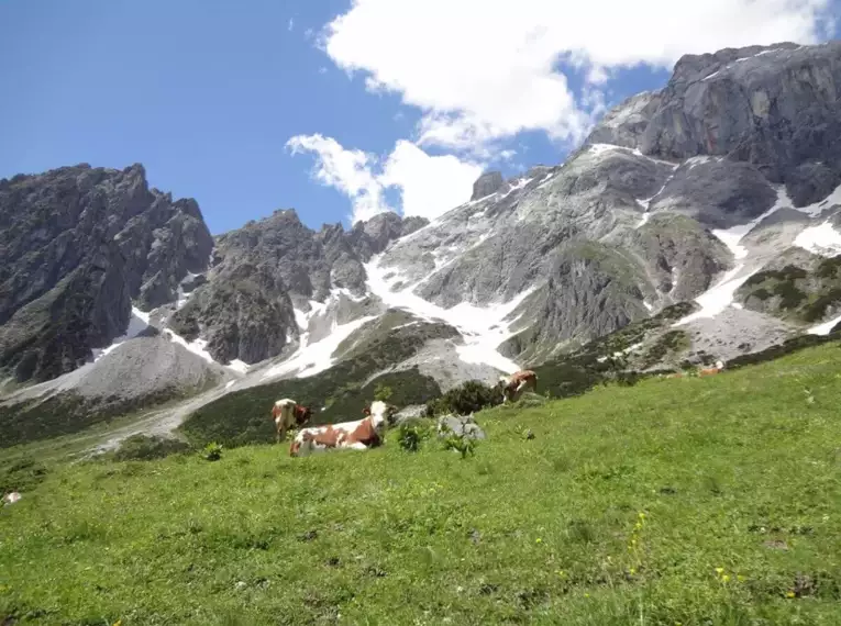 Individuelle Trekkingwoche Bayerische & Salzburger Alpen