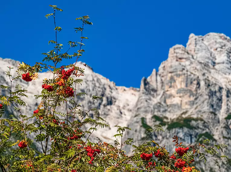 Salzburger Kalkalpen gemütlich erwandern für Singles und Alleinreisende