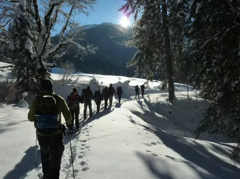 Schneeschuhtouren im stillen Obernbergtal