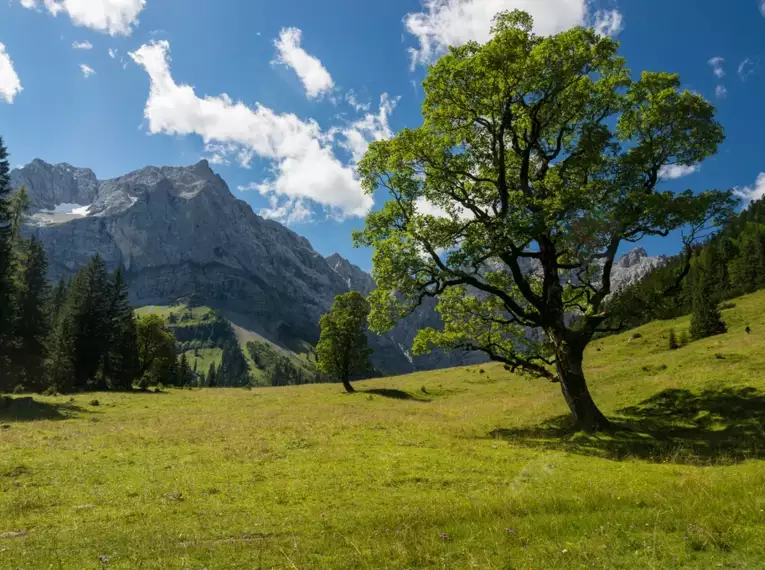 Der Isarwinkel - die schönsten Touren im bayrischen Voralpenraum