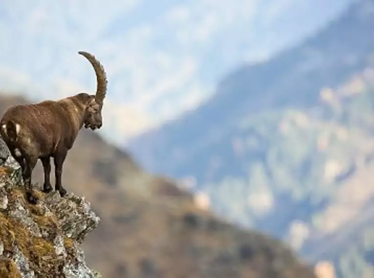 Alpenüberquerung von Innsbruck nach Sterzing