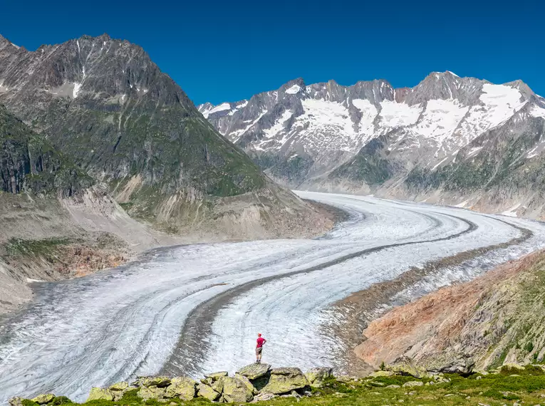 Person genießt die Aussicht auf den beeindruckenden Aletschgletscher in der Schweiz.