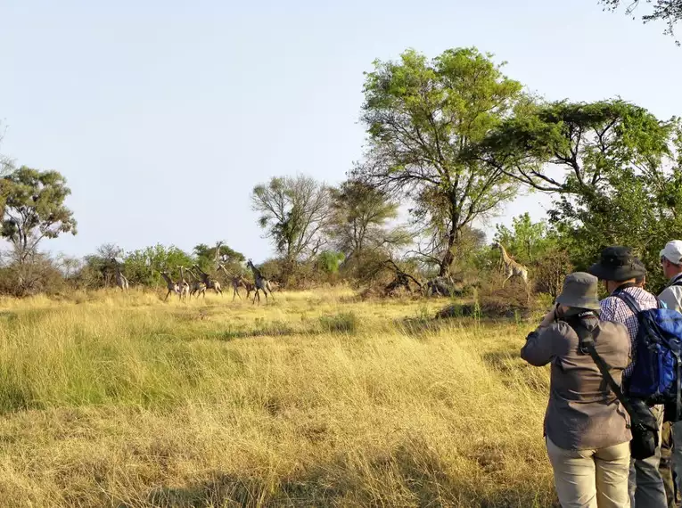 Gruppe von Reisenden beobachtet eine Herde von Tieren in der afrikanischen Savanne.