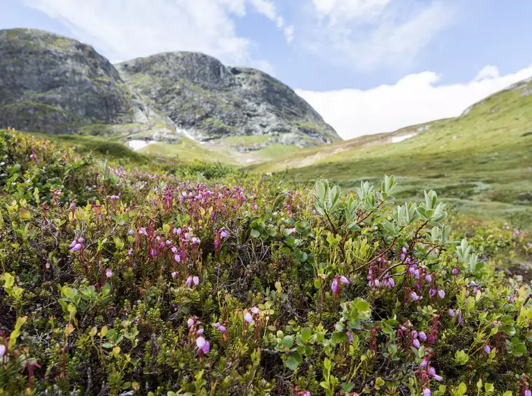 Norwegens majestätische Schönheiten entdecken