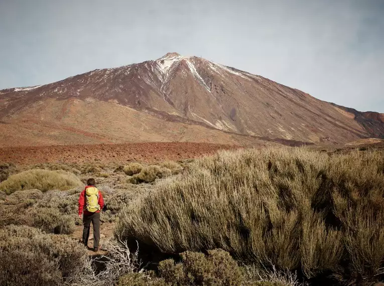 Die Highlights Teneriffas erwandern