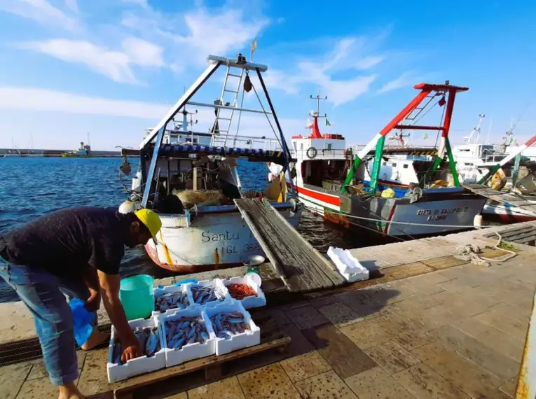 Fischer sortiert frischen Fang im Hafen von Apulien, Italien