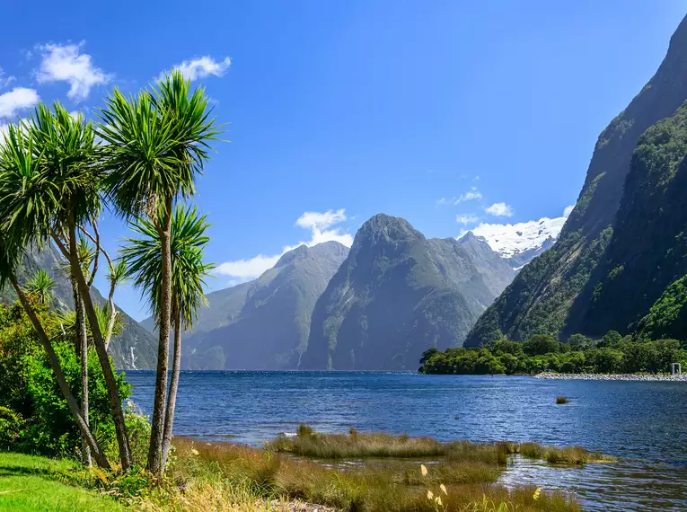 Neuseeland: Entdecken Sie die Faszination der 'Langen Weißen Wolke'