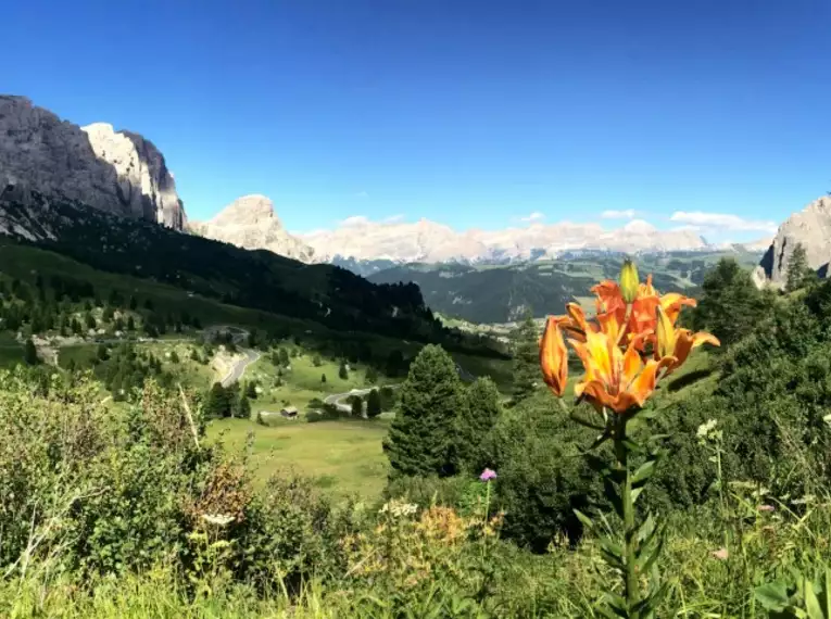 Dolomiten Höhenweg Nr. 2