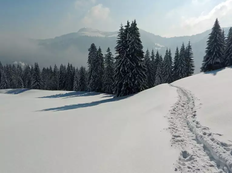 Schneeschuhwandern im Lappland