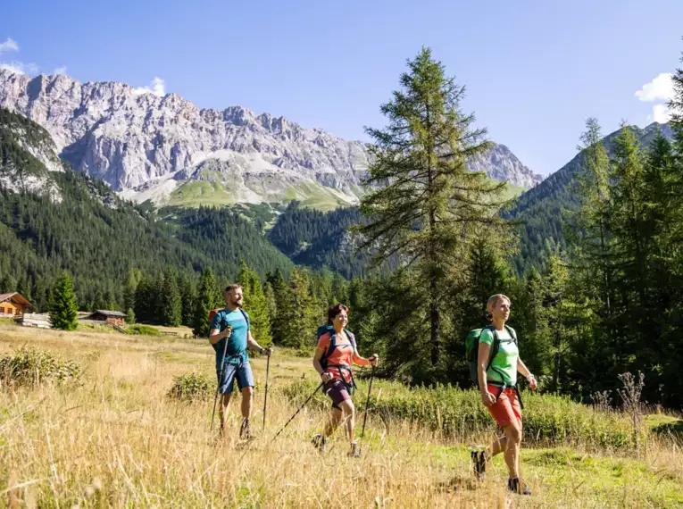 Drei Personen wandern in alpiner Landschaft mit Bergen im Hintergrund