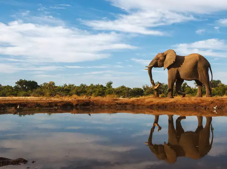 Die Highlights des südlichen Afrika erleben