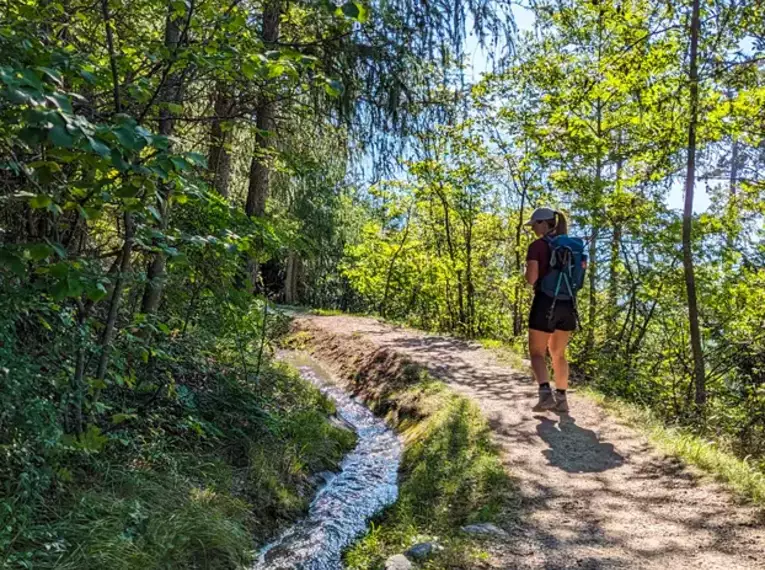 Person wandert auf einem sonnigen Waldweg entlang eines Bachs.