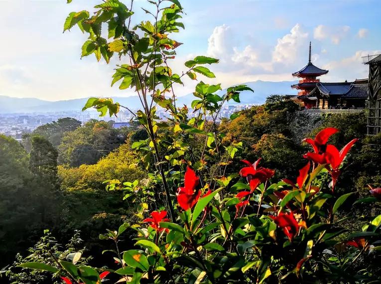 Japan – Wanderreise durch das Land der aufgehenden Sonne