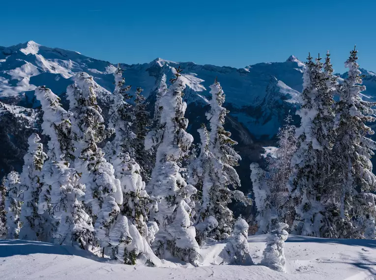 Skitouren für Einsteiger ohne Tiefschnee-Erfahrung