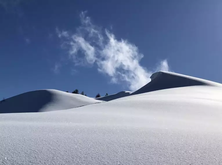 Schneeschuhtouren durch das einsame Rohrmoostal