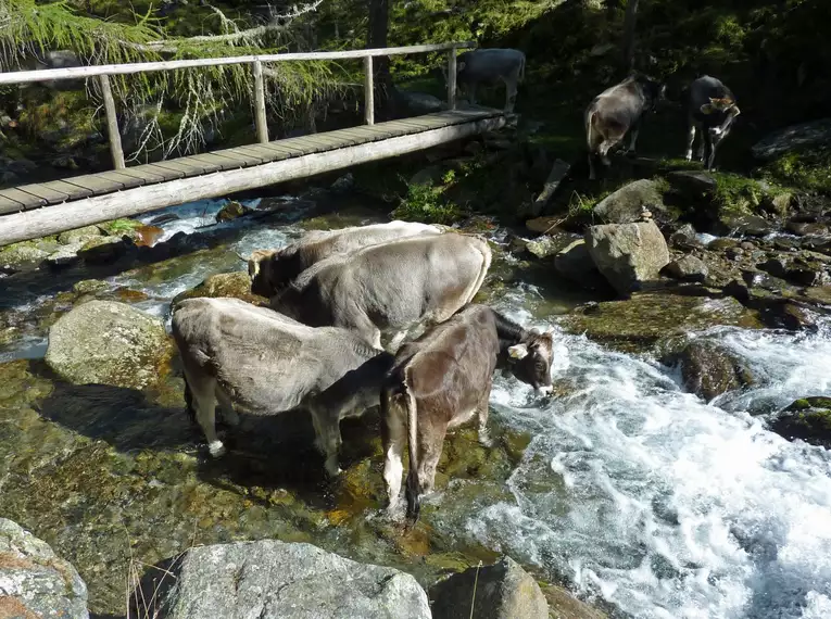 Meraner Höhenweg