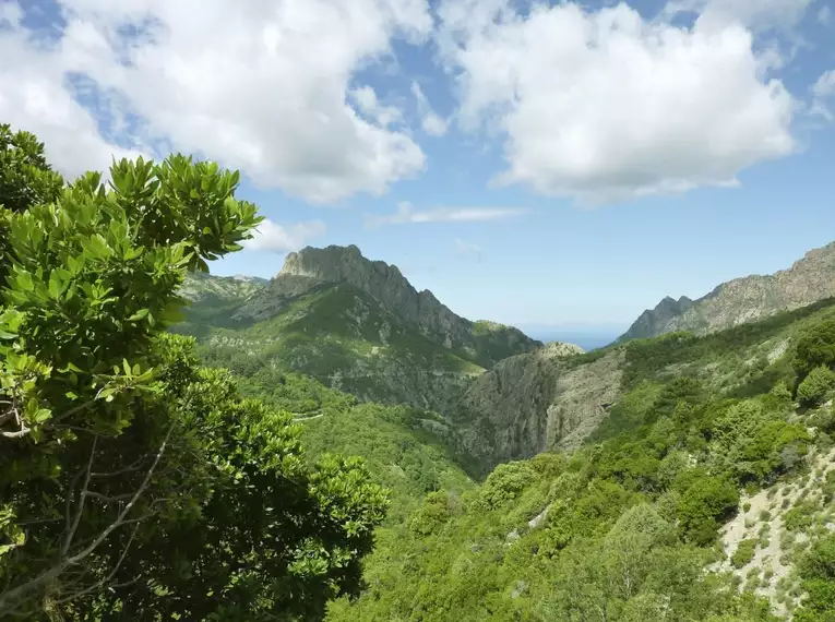 Korsika: Majestätische Berge und Küstenzauber des Mittelmeerparadieses